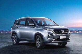 国产二,崛起中的民族品牌力量